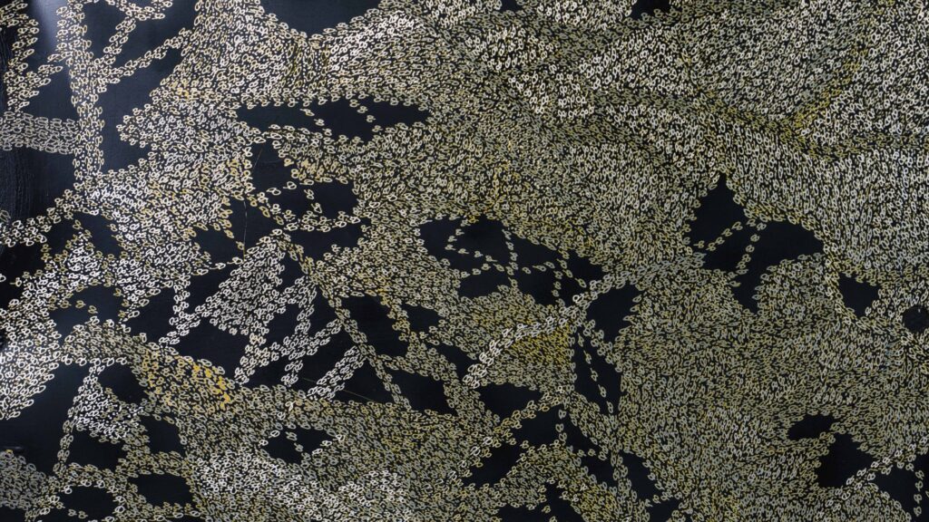 99 Finalists Announced for the 2025 Ravenswood Australian Women’s Art Prize