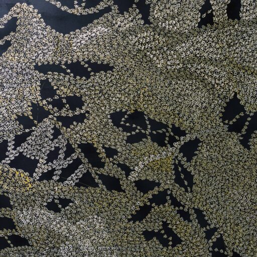 99 Finalists Announced for the 2025 Ravenswood Australian Women’s Art Prize