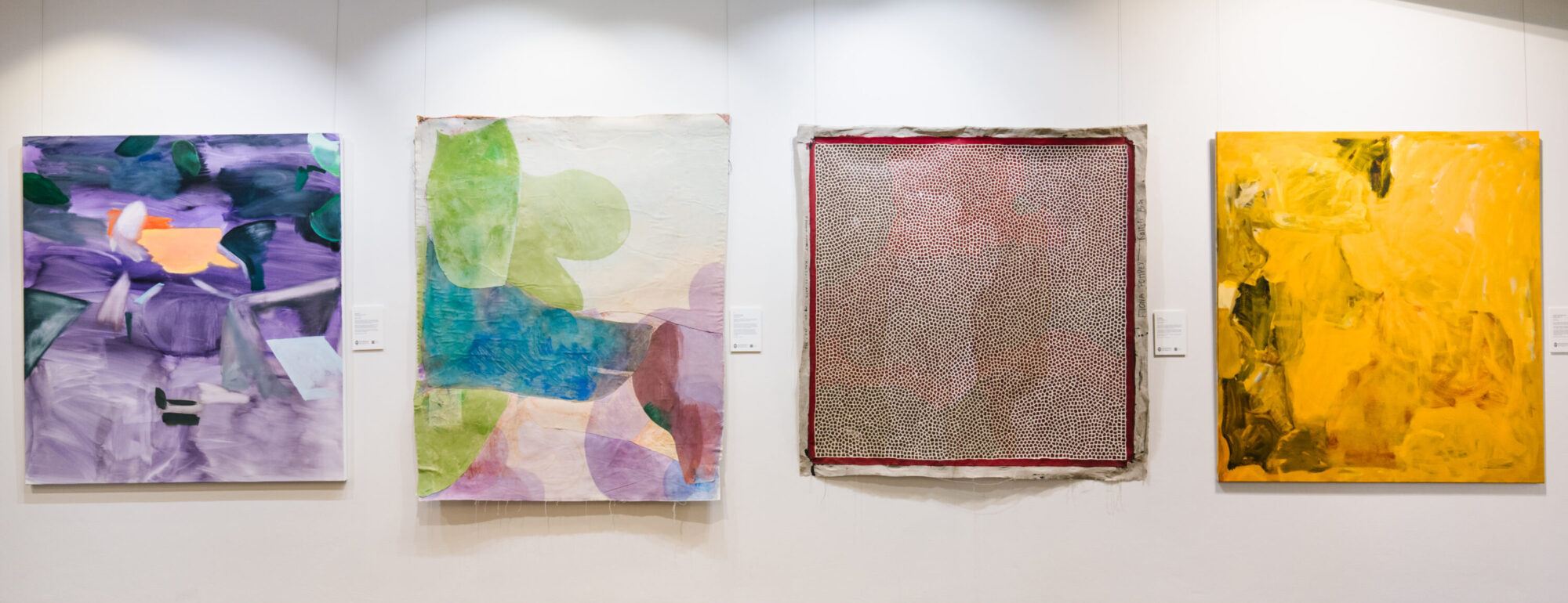 2025 Ravenswood Australian Women’s Art Prize profiled on NITV News
