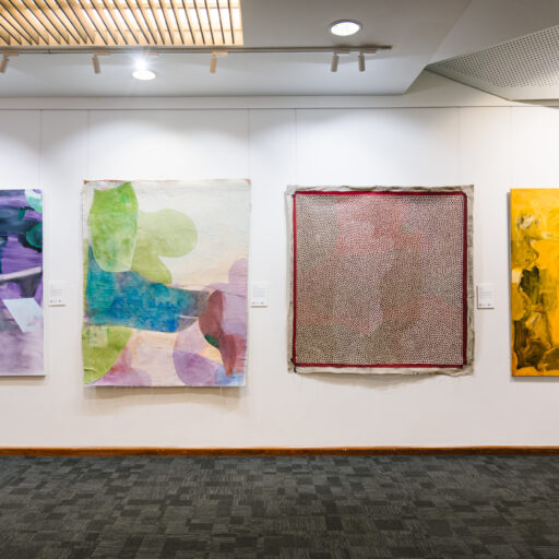 2025 Ravenswood Australian Women’s Art Prize profiled on NITV News