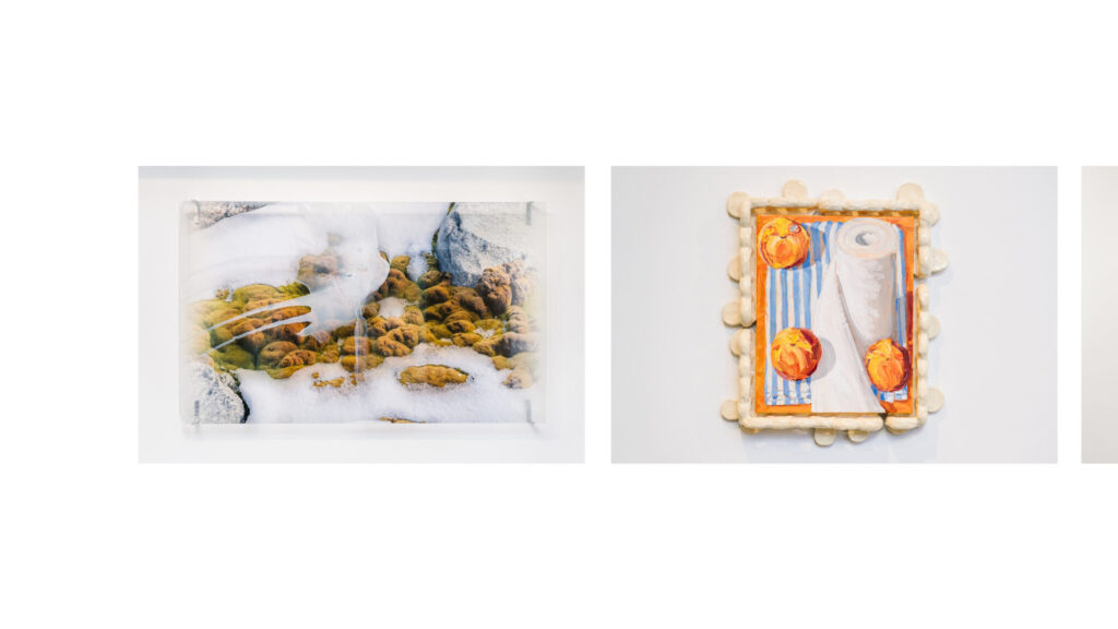 Janet Laurence Awarded Australia’s Highest-Valued Art Prize for Women