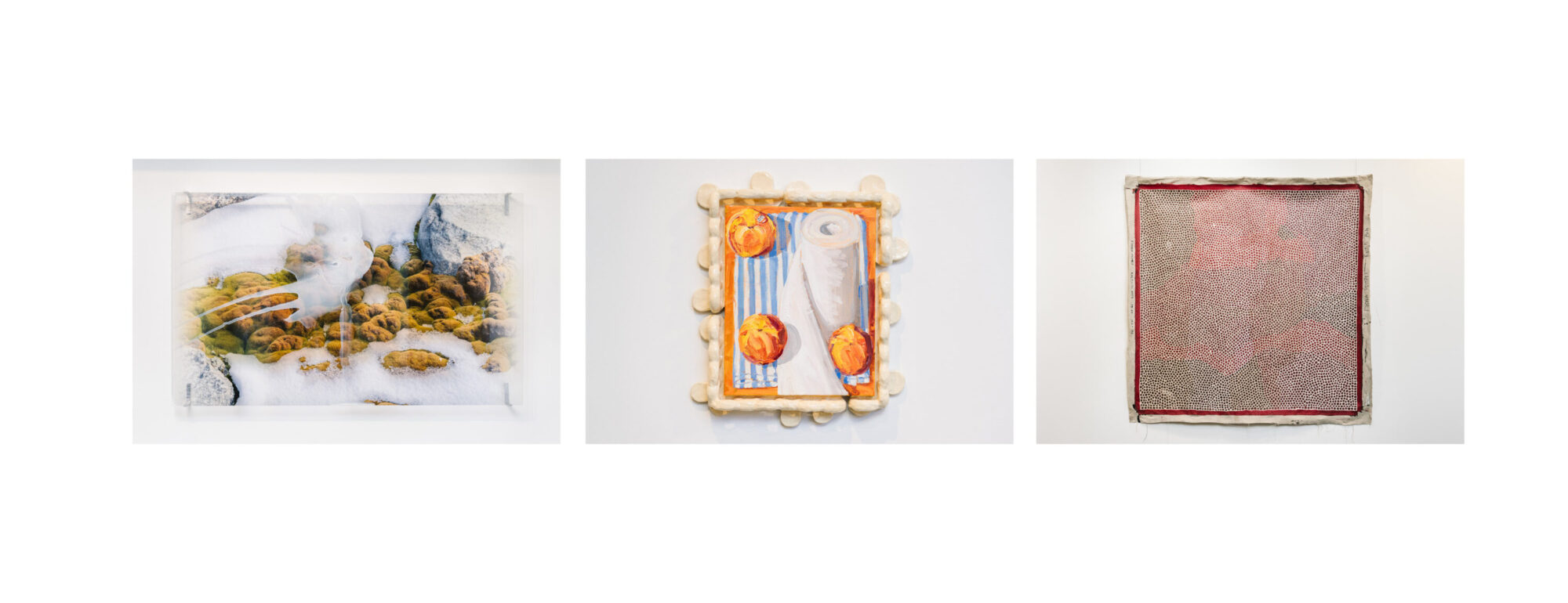 Janet Laurence Awarded Australia’s Highest-Valued Art Prize for Women